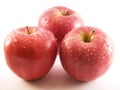 Red apples Royalty Free Stock Photo