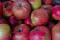 Red apples background. Red ripe apple fruits in the market. Winter harvest. Sweet juicy fruits. Garden harvest.