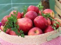 Red apples basket Royalty Free Stock Photo