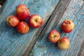 Red apples on a blue old painted board. Royalty Free Stock Photo