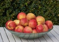 Red apples in a bowl, outdoor and nutrition with protein, healthy snack and treat with diet plan and harvest. Organic Royalty Free Stock Photo