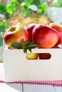 Red apples in the box Royalty Free Stock Photo