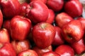 Red Apples Royalty Free Stock Photo