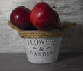 Red apples in a bucket on a gray wooden background. Vitamin-rich apples on the table at home for the whole family. Autumn backgrou Royalty Free Stock Photo