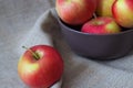 Red apples on canvas Royalty Free Stock Photo