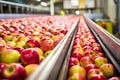 Red apples on conveyor belt in factory, closeup