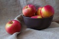 Red apples on a drape background Royalty Free Stock Photo