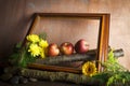 Red apples and flowers in wooden frame