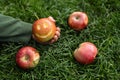 Red apples on green grass, child holds in his palm one apple with smile carved on it Royalty Free Stock Photo