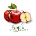 Red Apples with Green Leaves and Apple Slice - Vector Illustration. Royalty Free Stock Photo