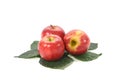 Red apples on green leaves isolated on white background Royalty Free Stock Photo