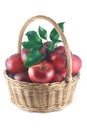 Red apples with green leaves in a wicker basket Royalty Free Stock Photo