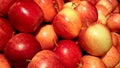 Red Apples Royalty Free Stock Photo