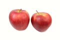 Red apples isolated on a white background. Royalty Free Stock Photo