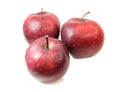 Red apples isolated on a white background. Royalty Free Stock Photo