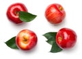 Red Apples Isolated on White Background Royalty Free Stock Photo