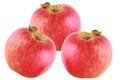 Red apples isolated on white Royalty Free Stock Photo