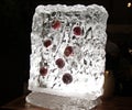 Red apples look beautiful in a block of ice