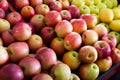 red apples market Royalty Free Stock Photo