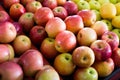 Red apples market Royalty Free Stock Photo