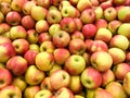 Red Apples In Market Display Royalty Free Stock Photo