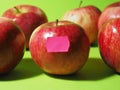 Red apples with a price tag. Fruit harvest Royalty Free Stock Photo