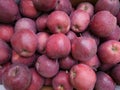Red apples Real background ,untouched Royalty Free Stock Photo