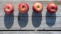 Red apples with shadow