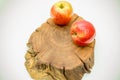 Red Apples on a tree stump isolated on white background.piece of wood cross sectionwith tree ring texture, pattern and Royalty Free Stock Photo