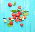 Red Apples Royalty Free Stock Photo