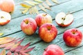 Red apples on turquoise wooden background. Autumn days.