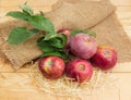 Red apples and twig on a burlap and wooden surface