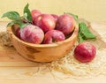 Red apples with twigs in the vintage wooden fruit bowl Royalty Free Stock Photo