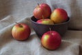 Red apples Royalty Free Stock Photo