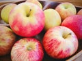 Red apples of various varieties.