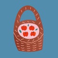 Red apples in wicker basket, vector illustration, hand drawn artwork, simple modern naive drawing with textured effect