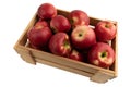 red apples in wooden box isolated on white Royalty Free Stock Photo