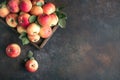 Red apples in wooden box Royalty Free Stock Photo
