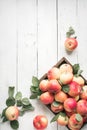 Red apples in wooden box Royalty Free Stock Photo