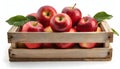 Red apples in wooden crate isolated Royalty Free Stock Photo