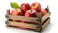 Red apples in wooden crate isolated Royalty Free Stock Photo