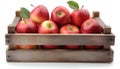 Red apples in wooden crate isolated Royalty Free Stock Photo