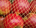 Red apples in yellow net Royalty Free Stock Photo