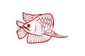 red arowana fish, mono line logo Designs Inspiration Isolated on White Background. Royalty Free Stock Photo
