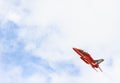 RAF Red Arrow aerobatic flight show in Tallinn, Es