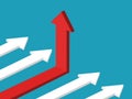 red arrow differs from the white arrow. Growing competition and distinct identity