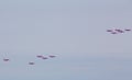 The Red Arrows in loose transit formation