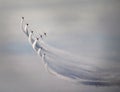 Red arrows smoking contrail stunts Royalty Free Stock Photo