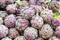 Red artichokes on display Royalty Free Stock Photo