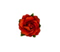 Red Artificial Roses Isolated on White Background Royalty Free Stock Photo